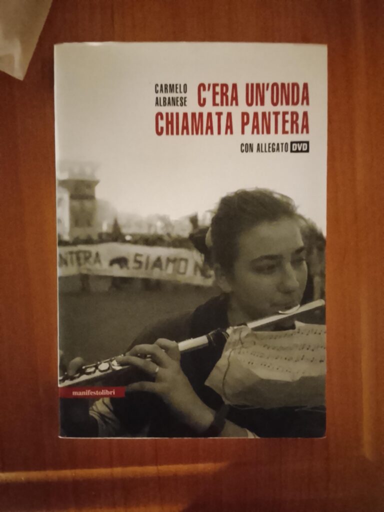 C'era un'Onda chiamata Pantera, naslovnica